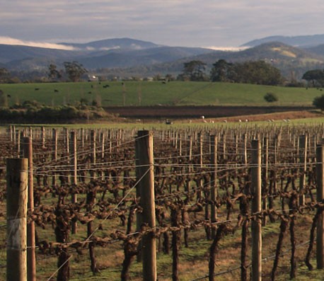 智能资源调度的ddos攻击测试工具